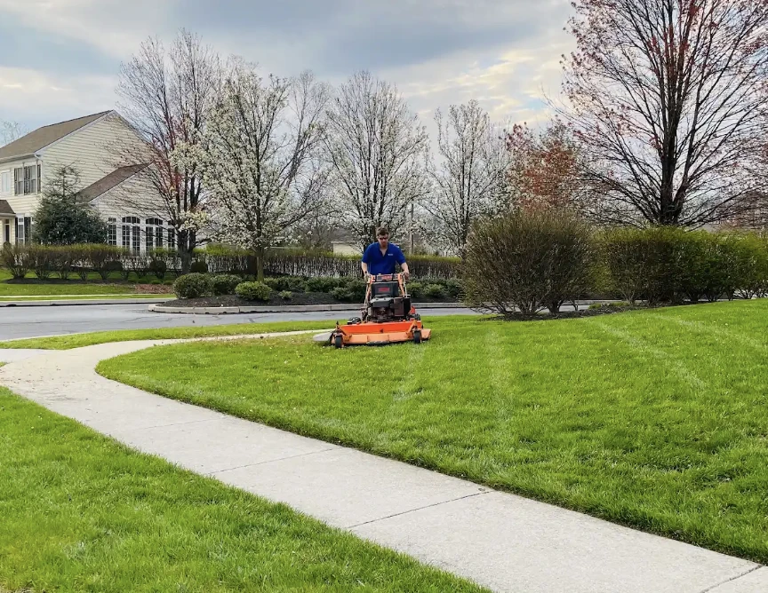 A crew member guides an orange mower across a green front lawn beside a curved sidewalk and flowering trees.