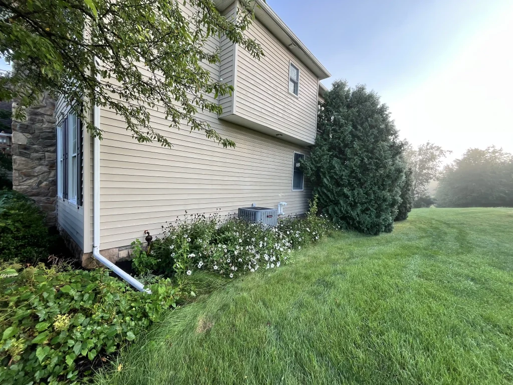 White flowers spread below beige siding and a gray air unit. A towering evergreen anchors the right edge beside a misty green lawn.