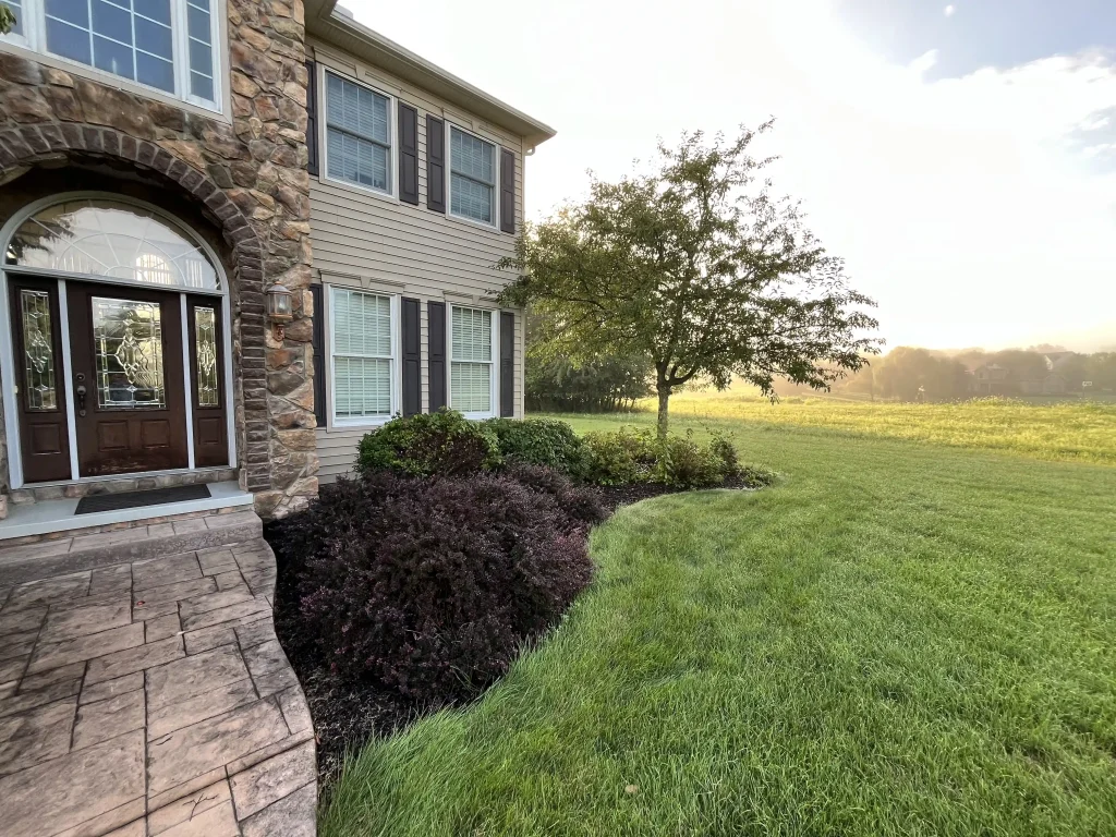 Stone entry and beige siding frame the left edge. Burgundy shrubs curve around a leafy tree beside a sunlit green field.