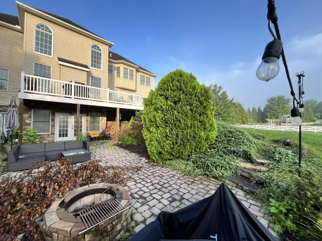A vivid green evergreen stands before the beige home and white deck. Brick paving and dense ground cover sit below hanging patio lights.