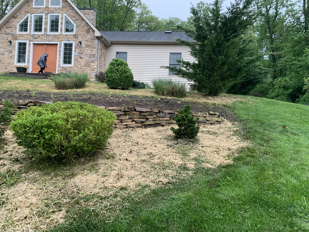 Low stacked stone wall, rounded shrubs, and a small evergreen in a sloped landscape beside a stone home.