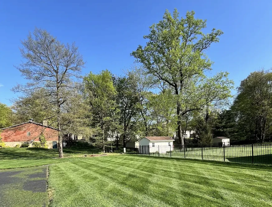 Fresh mowing stripes cross a tree-lined lawn beside an asphalt drive and black metal fence.